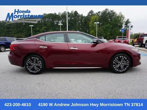 2016 Nissan Maxima 3.5 Platinum for sale in Morristown, TN