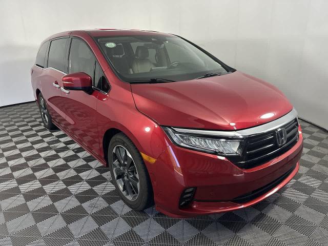 2024 Honda Odyssey Elite for sale in Shelbyville, IN