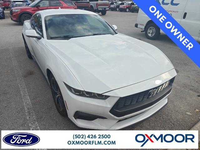 2025 Ford Mustang EcoBoost Fastback for sale in Louisville, KY