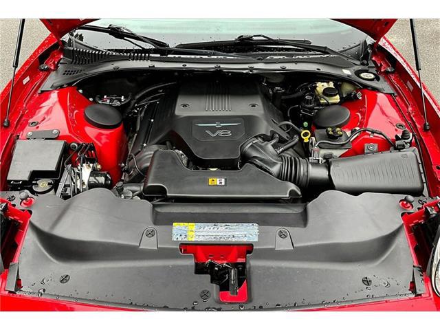 2005 Ford Thunderbird Base