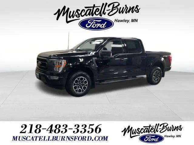 2023 Ford F-150 XLT for sale in Hawley, MN