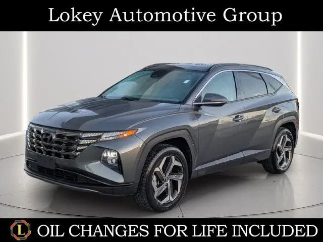 2022 Hyundai Tucson Limited for sale in Clearwater, FL