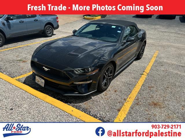 2022 Ford Mustang EcoBoost Premium Convertible for sale in Palestine, TX