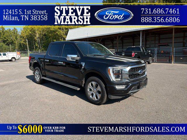 2023 Ford F-150 Platinum for sale in Milan, TN