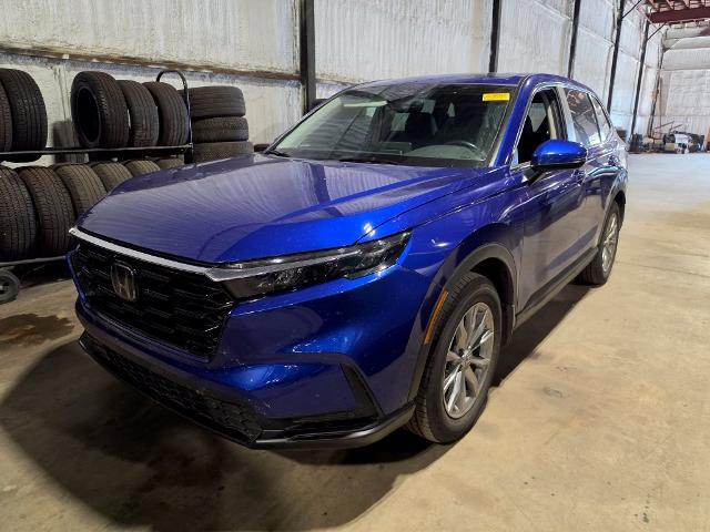 2025 Honda CR-V EX-L AWD for sale near Chillicothe, OH