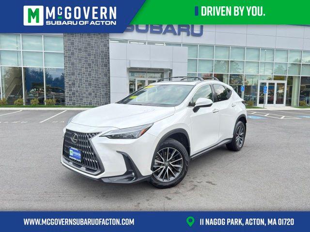 2024 Lexus NX 350 Premium for sale in Acton, MA