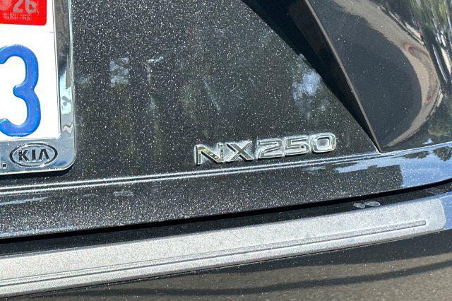 2024 Lexus NX 250 Base