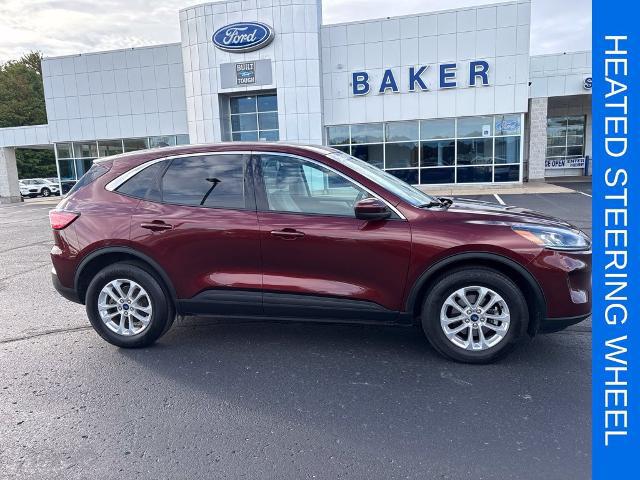 2021 Ford Escape SE for sale in Ludington, MI