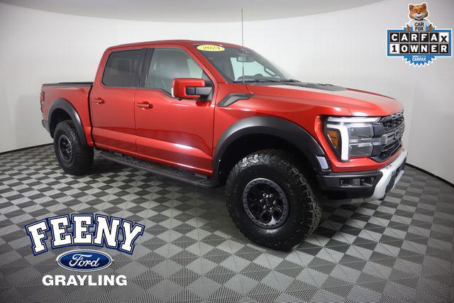 2024 Ford F-150 Raptor for sale in Grayling, MI