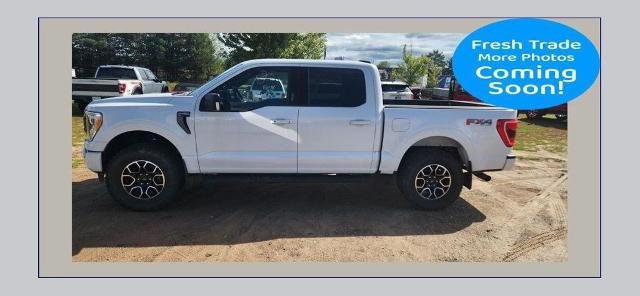 2023 Ford F-150 XLT for sale in North Branch, MN