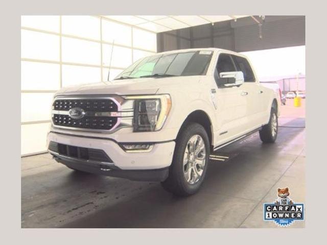 2023 Ford F-150 Platinum for sale in South Boston, VA