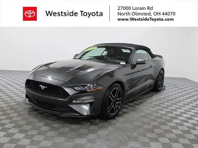 2019 Ford Mustang EcoBoost Premium for sale in North Olmsted, OH