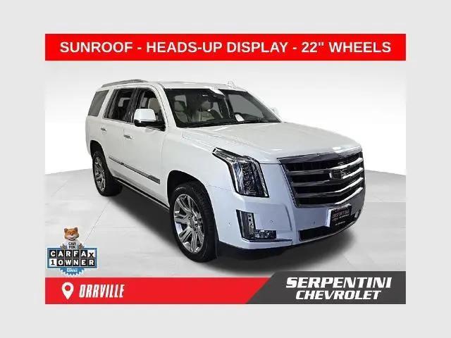 2019 Cadillac Escalade for sale near Orrville, OH