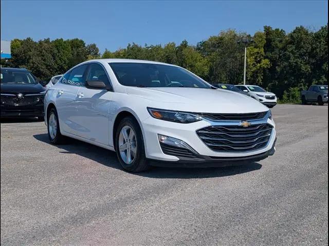 2024 Chevrolet Malibu FWD 1FL for sale in Ringgold, GA