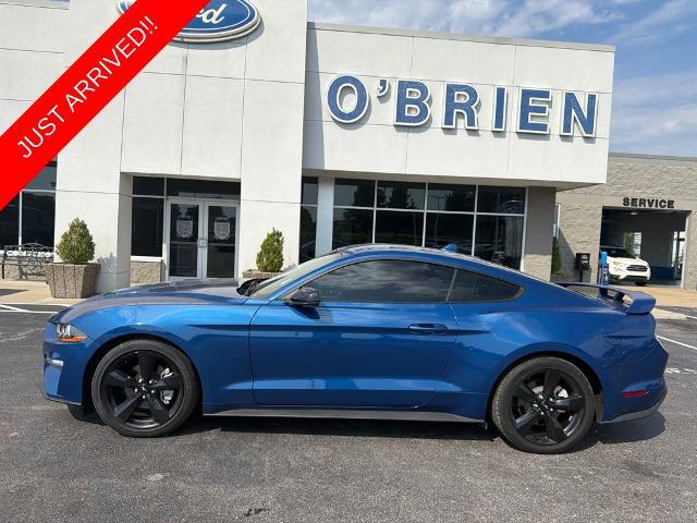 2023 Ford Mustang EcoBoost Premium Fastback for sale in Shelbyville, KY