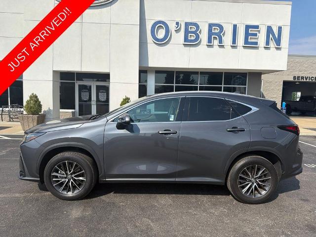 2024 Lexus NX Premium for sale in Shelbyville, KY