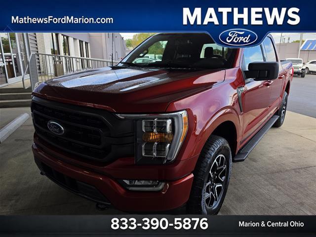 2023 Ford F-150 XLT for sale in Marion, OH