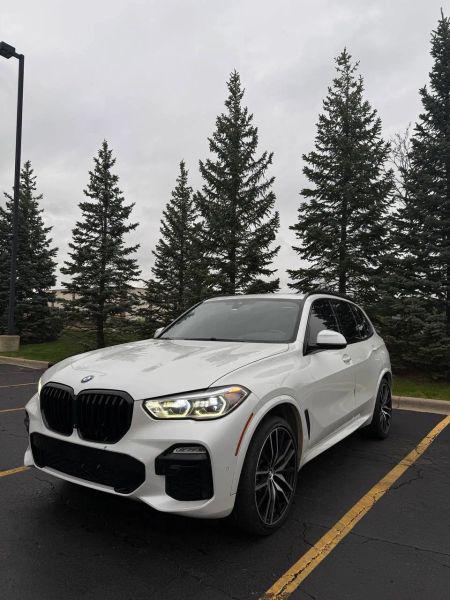 2019 BMW X5 xDrive40i for sale in Lake In The Hills, IL