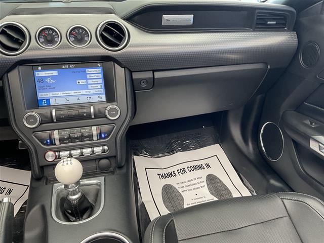 2019 Ford Mustang GT Premium