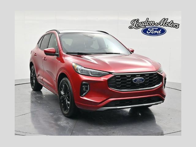 2023 Ford Escape ST-Line Elite for sale in Minerva, OH