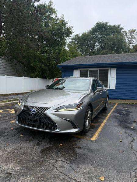 2019 Lexus ES 300h Luxury for sale in Lake In The Hills, IL
