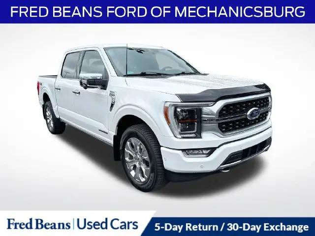 2023 Ford F-150 Platinum for sale in Mechanicsburg, PA