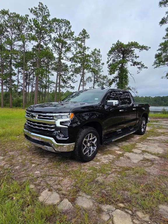 2024 Chevrolet Silverado 1500 LTZ for sale in Waynesboro, GA