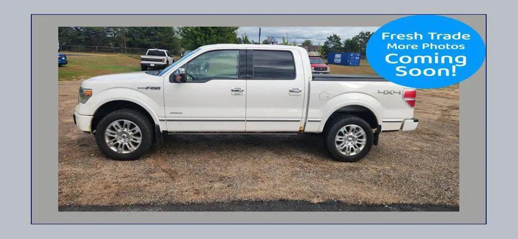 2014 Ford F-150 Platinum for sale in North Branch, MN
