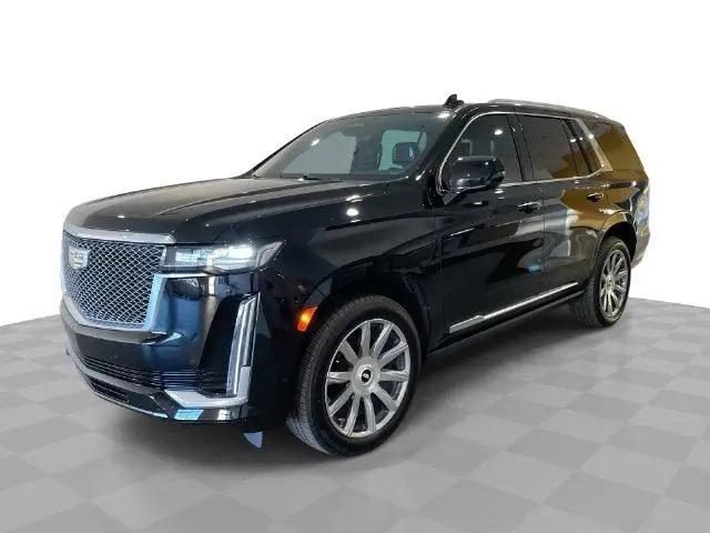 2024 Cadillac Escalade 4WD Premium Luxury Platinum for sale in Evansville, IN