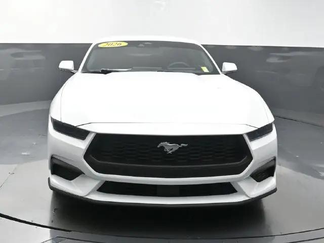 2026 Ford Mustang EcoBoost Fastback