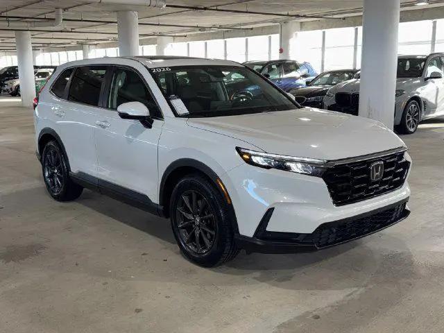 2026 Honda CR-V EX-L 2WD for sale in Wesley Chapel, FL