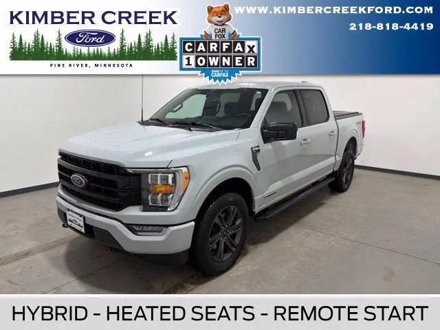2023 Ford F-150 XLT for sale in Pine River, MN