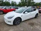 2023 Tesla Model 3 Rear-Wheel Drive for sale in Amherst, VA
