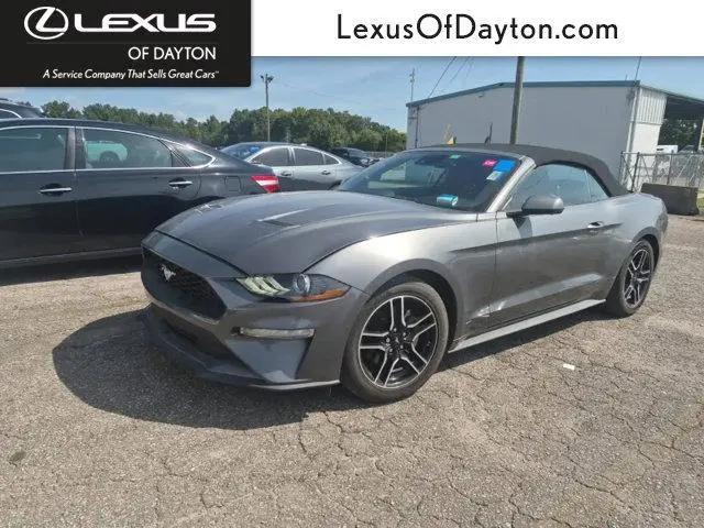 2022 Ford Mustang EcoBoost Premium Convertible for sale near Dayton, OH
