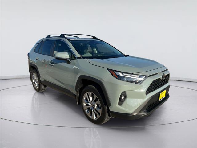 2023 Toyota RAV4 XLE Premium for sale in Victoria, TX