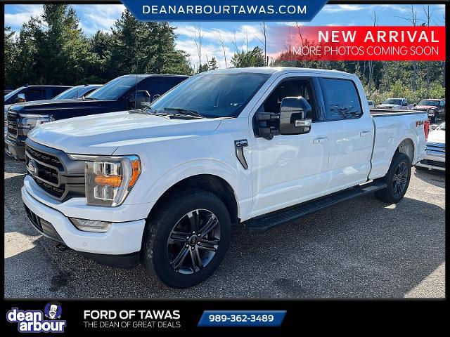 2023 Ford F-150 XL for sale in Tawas City, MI