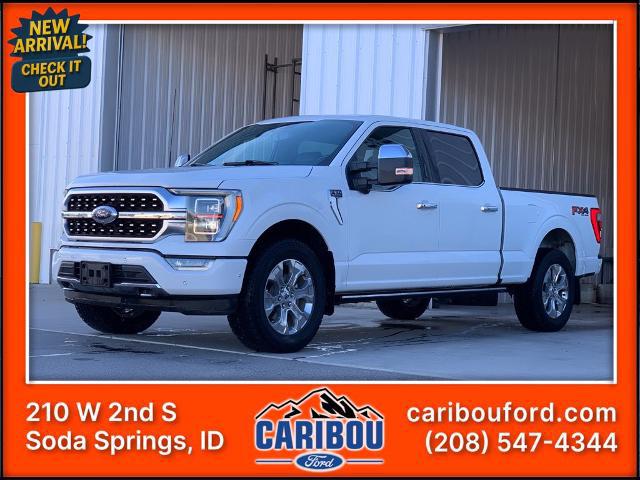 2021 Ford F-150 Platinum for sale in Soda Springs, ID