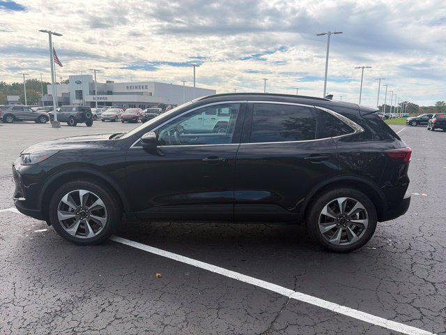 2025 Ford Escape Platinum for sale in Lima, OH