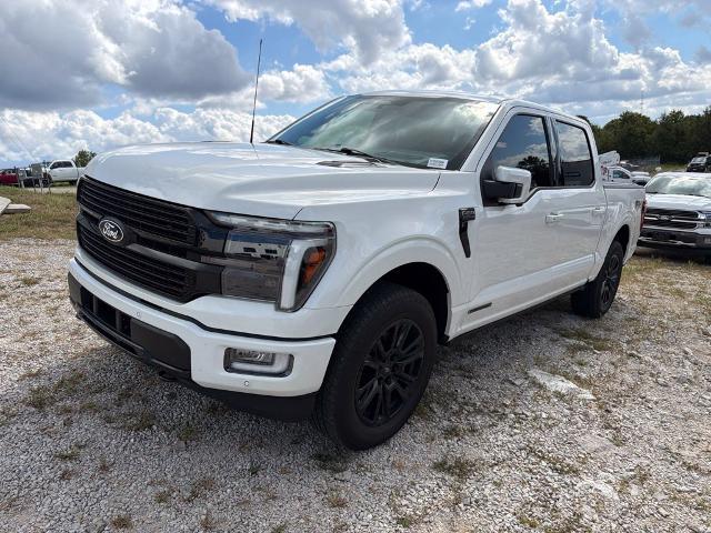 2024 Ford F-150 Platinum for sale in Branson, MO