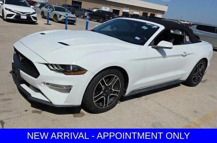 2019 Ford Mustang EcoBoost Premium for sale in Denton, TX