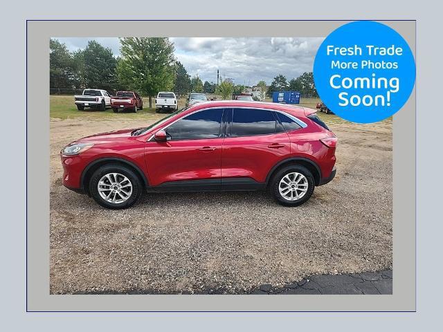 2021 Ford Escape SE for sale in North Branch, MN