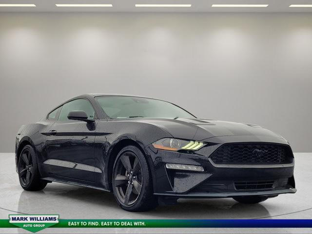 2021 Ford Mustang EcoBoost Fastback for sale near Cincinnati, OH