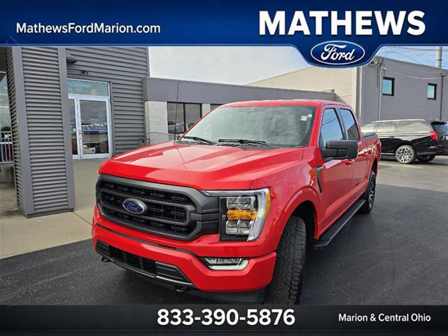 2023 Ford F-150 XLT for sale in Marion, OH