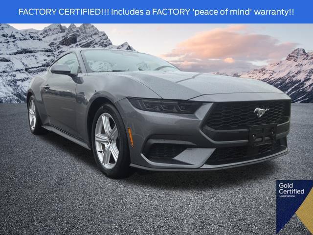 2026 Ford Mustang EcoBoost Premium Fastback for sale in Plainfield, IN