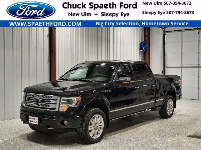 2013 Ford F-150 Platinum for sale in New Ulm, MN