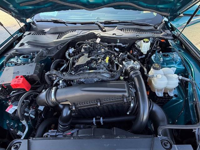2026 Ford Mustang EcoBoost Premium Fastback