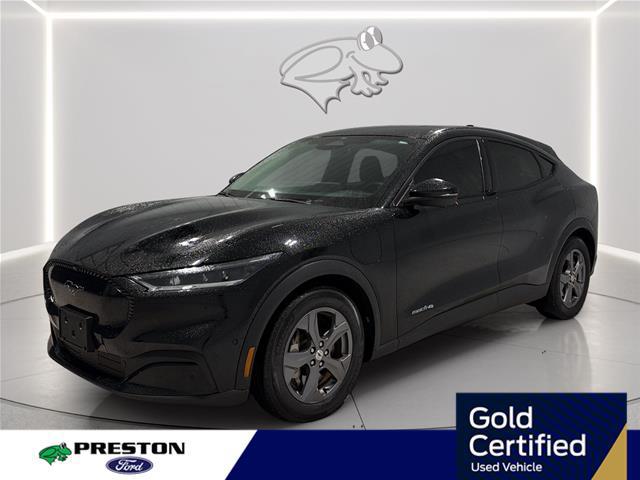 2023 Ford Mustang Mach-E Select for sale in Hurlock, MD