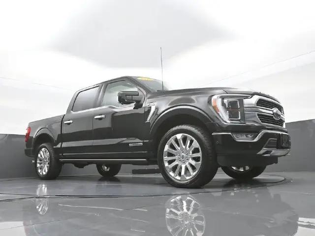 2023 Ford F-150 Limited