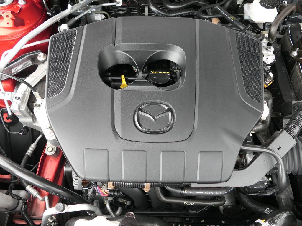 Photo 31