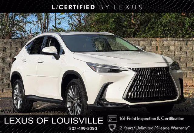 2024 Lexus NX 350 Luxury for sale in Louisville, KY